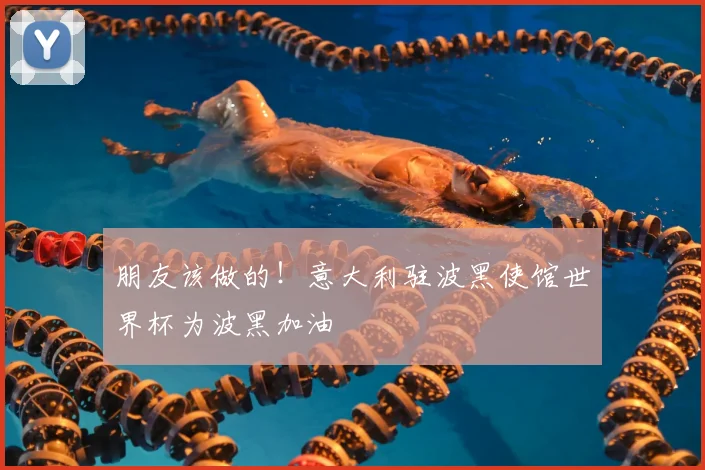 朋友该做的！意大利驻波黑使馆世界杯为波黑加油