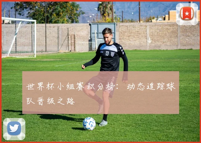世界杯小组赛积分榜:动态追踪球队晋级之路